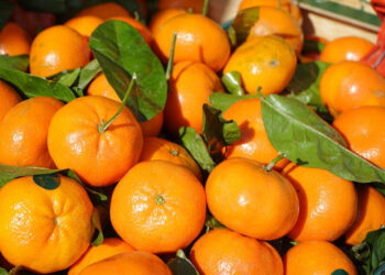 Dieta per emorroidi: alimenti si e alimenti no