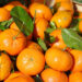 Dieta per emorroidi: alimenti si e alimenti no