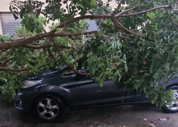 Maltempo Scicli, ramo di carrubo cade su auto in sosta