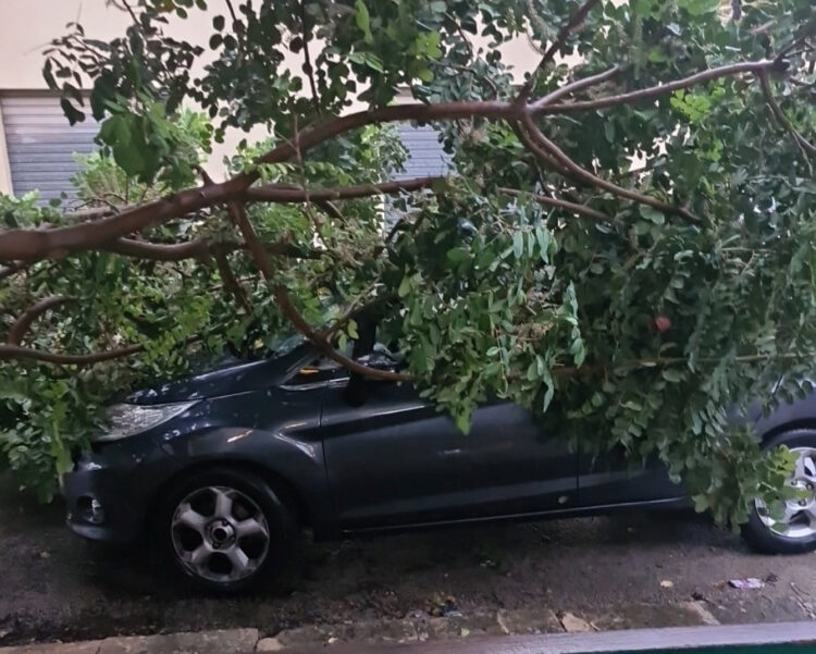 Maltempo Scicli, ramo di carrubo cade su auto in sosta