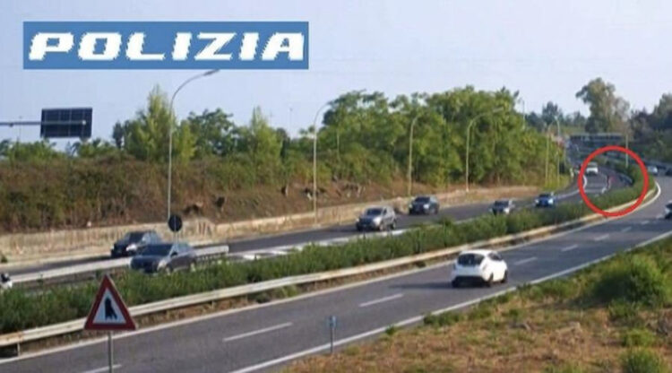 Anziano a piedi sulla corsia di sorpasso della A18 vicino a Giarre