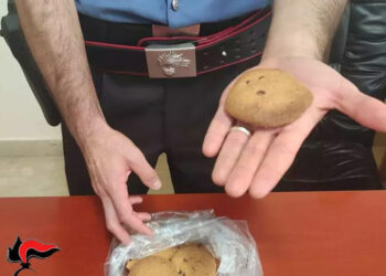 Offre biscotti fatti con droga alla madre, donna ricoverata