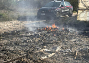 Scoglitti, sorpreso a bruciare rifiuti: denunciato un tunisino