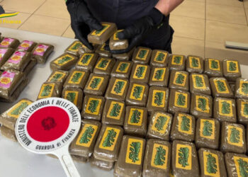 Caltanissetta, ecco come i finanzieri hanno fermato un agrigentino con un carico di droga