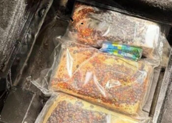 Ragusa, una segretaria e un pizzaiolo arrestati a Malta con 4 kg di cocaina