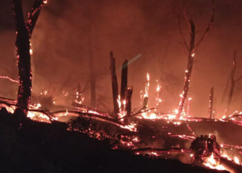 Monterosso Almo, vasto incendio nel bosco del Monte Casasia