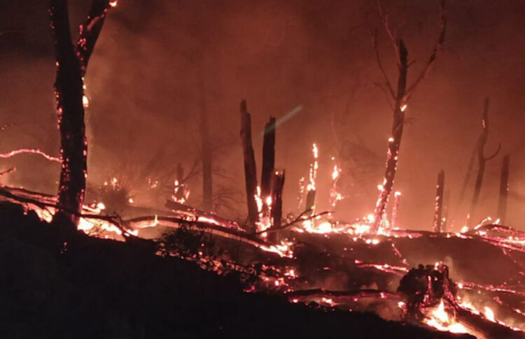 Monterosso Almo, vasto incendio nel bosco del Monte Casasia