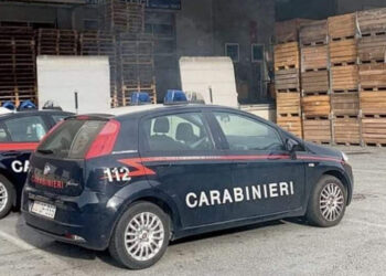 Ladri al mercato di Vittoria: scassinati 7 box