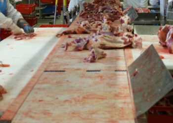 Modica, mano di un giovane macellaio resta intrappolata nel tritacarne