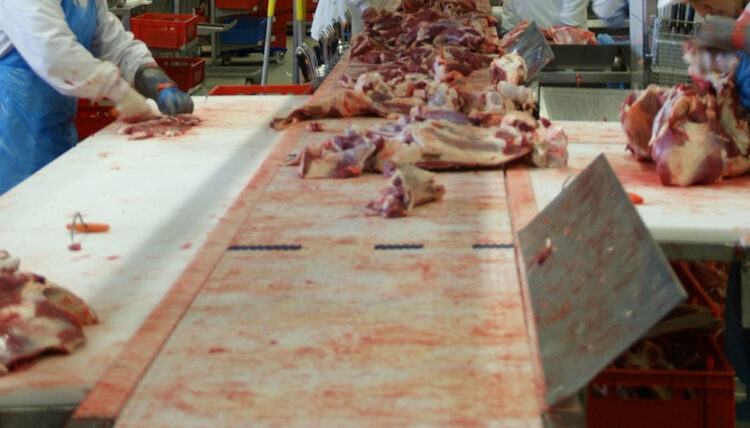 Modica, mano di un giovane macellaio resta intrappolata nel tritacarne