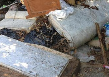 Colf butta il materasso di un'anziana con dentro un tesoro: 50 mila euro e gioielli