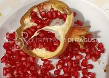 Perchè il melograno fa bene alla salute?