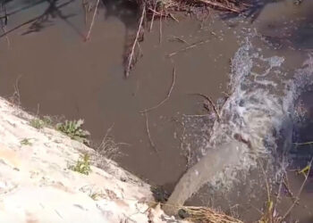 Chiaramonte Gulfi, Iacono (FDI): C'è un gravissimo allarme ambientale