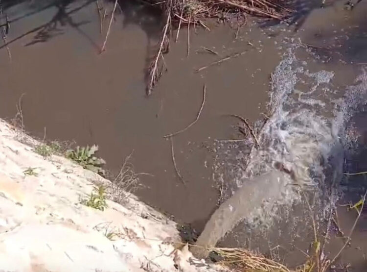 Chiaramonte Gulfi, Iacono (FDI): C'è un gravissimo allarme ambientale