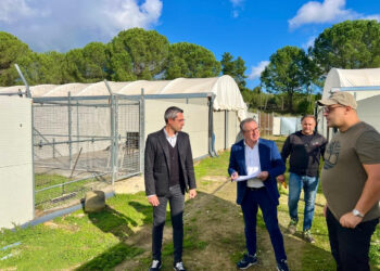 Ragusa: ispezione a sorpresa al canile di Piazza Armerina