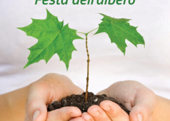 Festa dell’albero a Ragusa