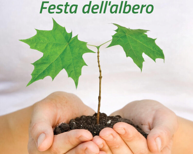 Festa dell’albero a Ragusa