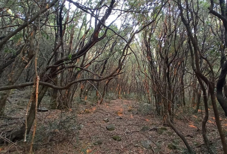 Termini Imerese, si parla di antichi percorsi viari sui Nebrodi