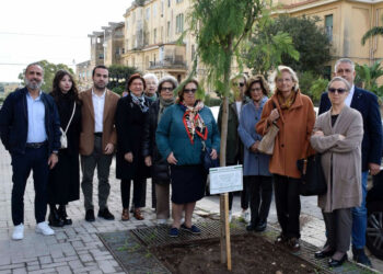 Festa degli alberi celebrata anche a Ragusa