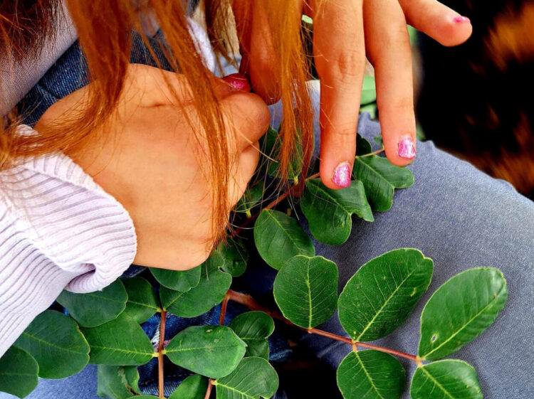 Le corone di foglie dei ragazzi di Anffas Onlus Ragusa