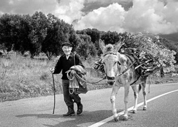Ragusa: U sciccareddu, la canzone, la storia e i ricordi di una Sicilia che non c'è più