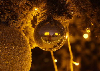 La storia dell'Albero di Natale