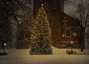 Albero di Natale: le leggende intrise di magia