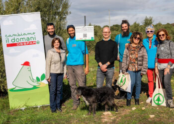 Giornata mondiale dell'albero: 300 alberi piantati da Despar Sicilia a Ragusa