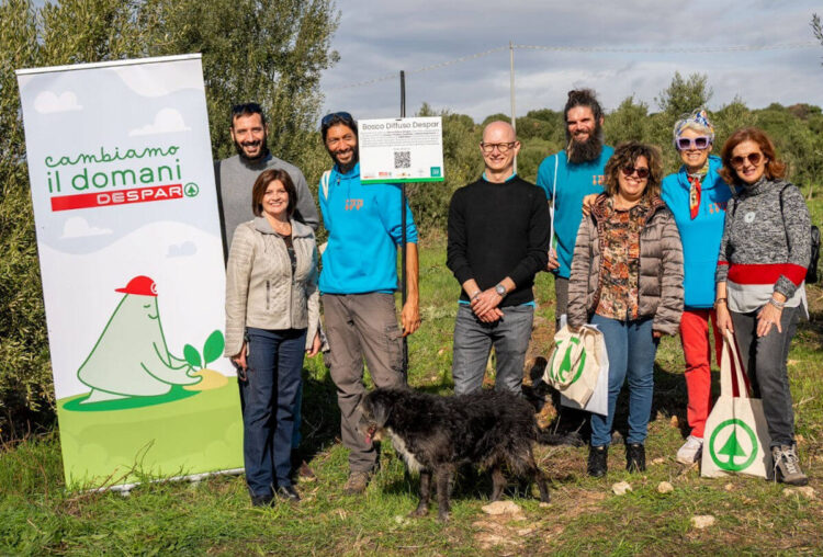 Giornata mondiale dell'albero: 300 alberi piantati da Despar Sicilia a Ragusa