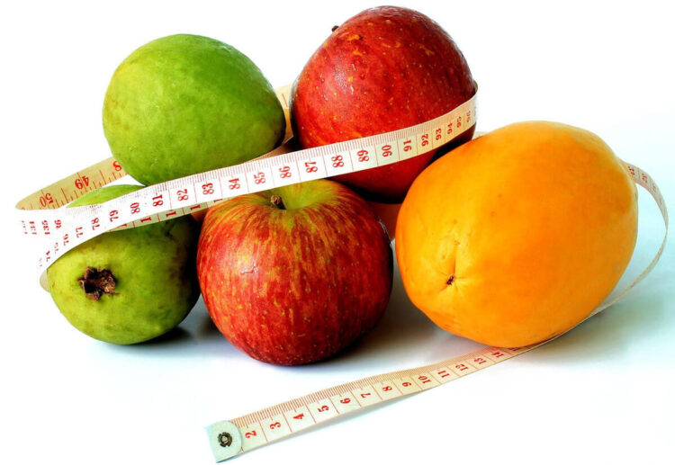 Le 3 diete più famose al mondo