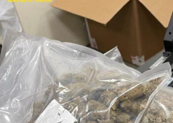 Droga in un pacco da Siracusa in Svezia: sequestrato