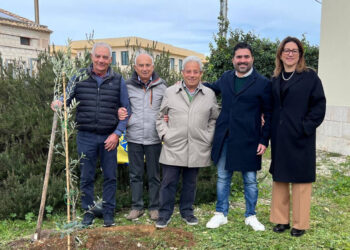 Giornata dell'albero, dal Lions Club Modica 30 alberi piantumati a Frigintini