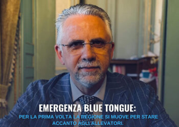 Emergenza Blue Tongue: da Palermo aiuti agli allevatori