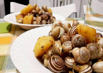 Ragusa, la ricetta delle lumache (babbalùci, barbani, crastuna, ‘ntuppateddi) di zia Maria