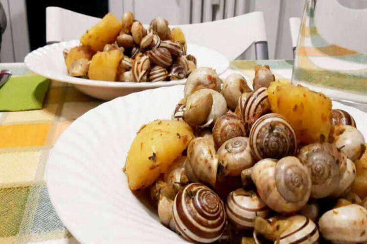 Ragusa, la ricetta delle lumache (babbalùci, barbani, crastuna, ‘ntuppateddi) di zia Maria