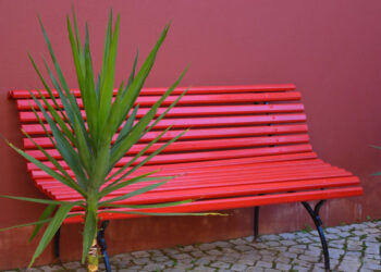 25 novembre Giornata contro la violenza sulle donne: a Ragusa Non sei sola