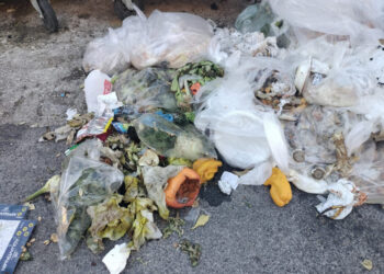 Ragusa, gara europea per ritiro e conferimento di rifiuti biodegradabili