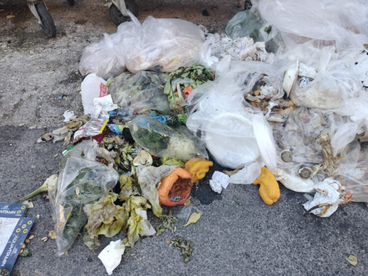 Ragusa, gara europea per ritiro e conferimento di rifiuti biodegradabili