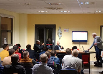 Ragusa, emergenza Blue Tongue per allevatori iblei: occorre prevedere ristori