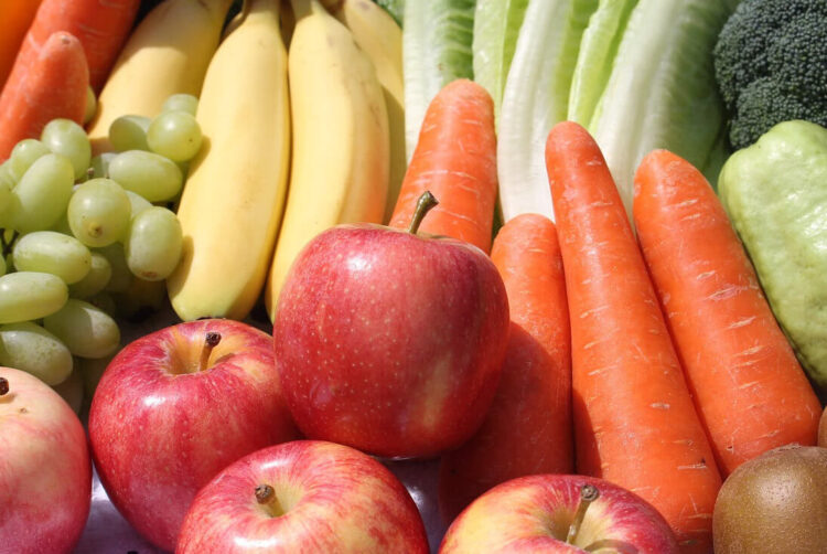 Misterbianco, convegno Eccedenze in agricoltura: una sfida che guarda al sociale