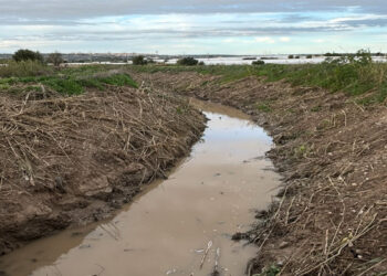 Ispica, lavori di pulizia al torrente Favara