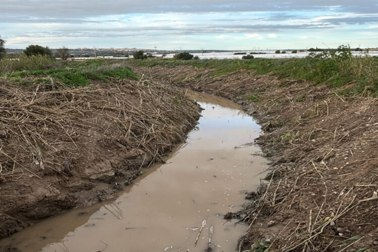Ispica, lavori di pulizia al torrente Favara
