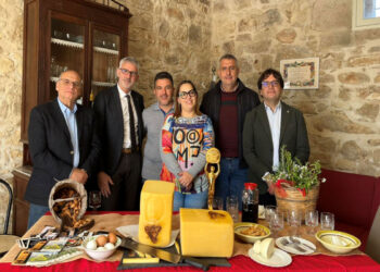 Ragusa, l'amministrazione comunale in visita all'azienda di Alessandro Criscione premiato con l'argento