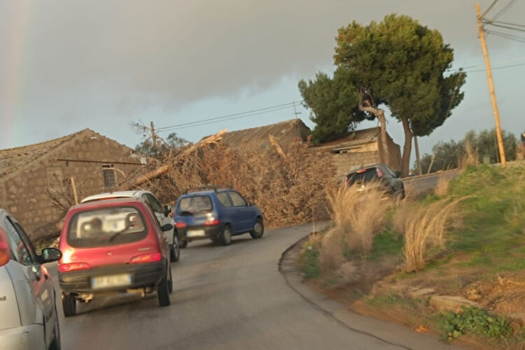 Maltempo a Ragusa, tempesta di vento: alberi caduti a Vittoria