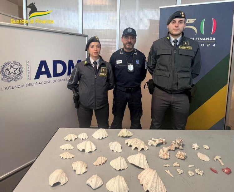 Aeroporto Palermo, sequestrati 34 coralli di specie protette: 3 sanzioni da 5 mila euro
