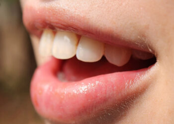 Un farmaco per far ricrescere i denti: lo studio e i primi test