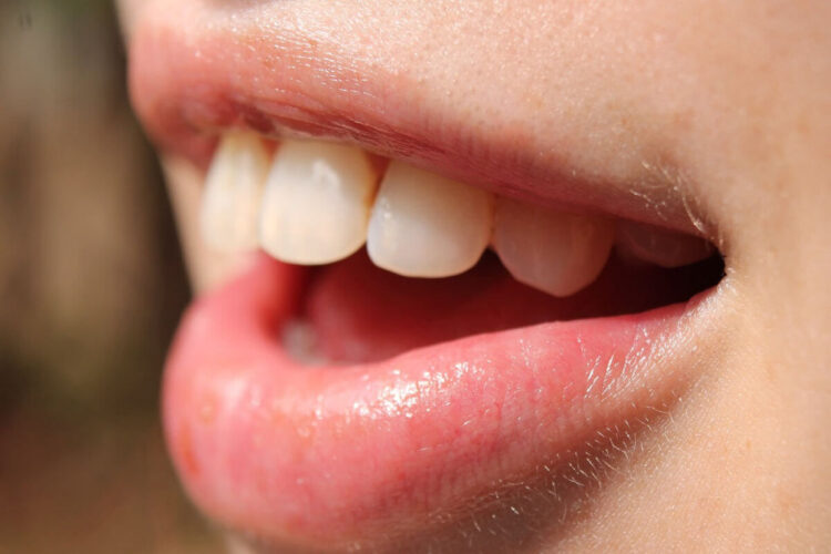 Un farmaco per far ricrescere i denti: lo studio e i primi test