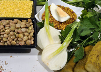 Dieta da 800 calorie per perdere peso rapidamente