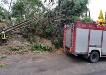 Maltempo in Sicilia, frane e alberi caduti nel Palermitano