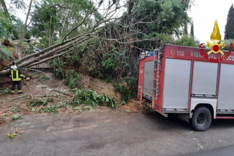 Maltempo in Sicilia, frane e alberi caduti nel Palermitano